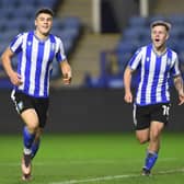 Bailey Cadamarteri has been one of several good Wednesday performers in the FA Youth Cup this season. (Harriet Massey - SWFC)