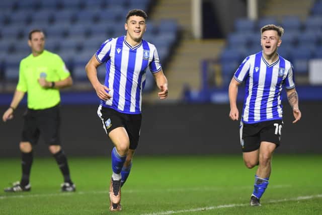 Bailey Cadamarteri has been one of several good Wednesday performers in the FA Youth Cup this season. (Harriet Massey - SWFC)