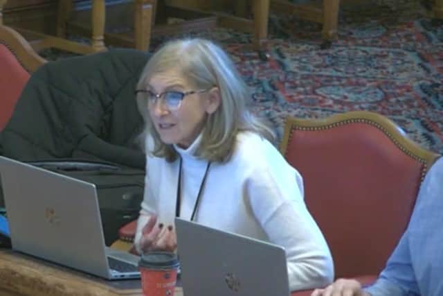 Julie Hague, manager at Sheffield Children Safeguarding Partnership. Sheffield Council has revoked the licence of Corner Shop, off West Street, following “extreme” rule-breaking including displaying more than three times the amount of alcohol allowed and having counterfeit vapes.