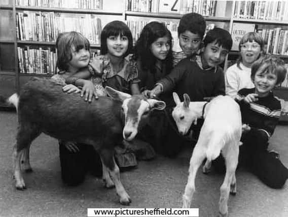 Animals visit children at Lowfield Library 1983