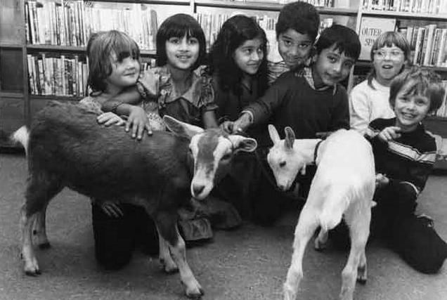 Animals visit children at Lowfield Library 1983