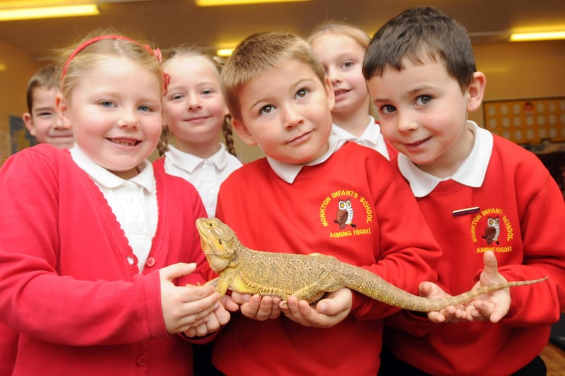 Exotic creatures were at Monkton Infants School in 2014 and the pupils seemed to love it.
