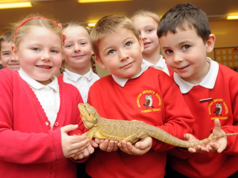 Exotic creatures were at Monkton Infants School in 2014 and the pupils seemed to love it.