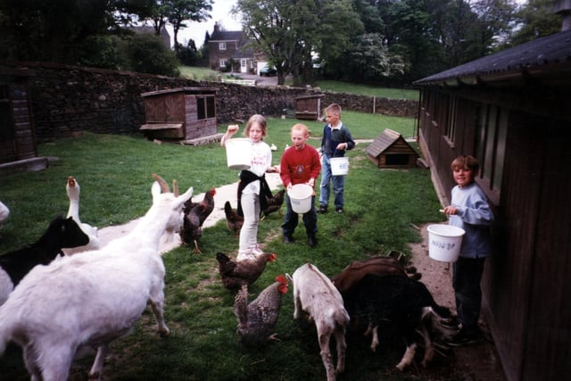Shortbrook School pupils at Whirlow Hall Farm, July 1997