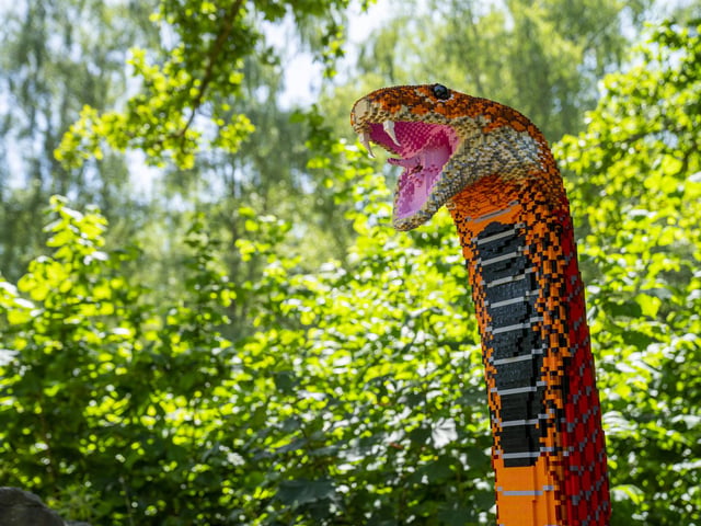 Marwell Zoo welcomes new SUPERSIZED! arrivals ahead of reopening