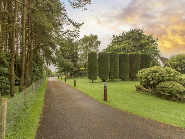 Driveway.