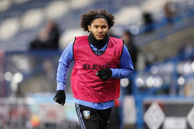 Izzy Brown has not featured much for Sheffield Wednesday under Tony Pulis. (Photo by George Wood/Getty Images)