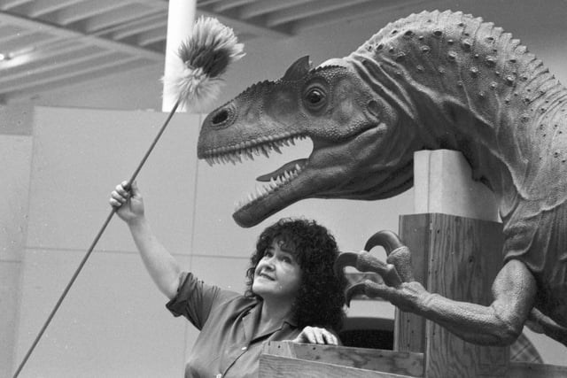 The City Art Centre wasn't the only place taking an interest in dinos in 1990. Cleaner Ann Flucker gives 'Big Al' a touch-up before the 'Dinosaurs Past and Present' exhibition at the Royal Museum of Scotland in Chambers Street, January 1990.