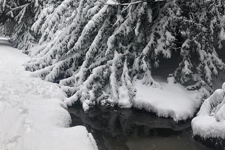 Perfect winter scene in Callendar (Picture: Lorraine Lewis)