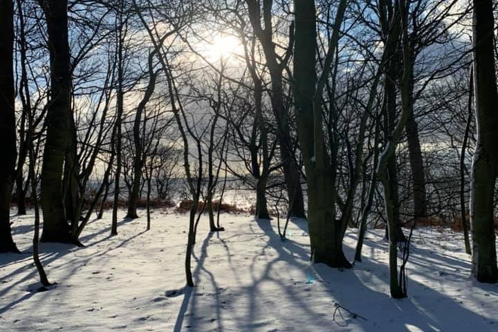The winter sun seen through the trees at Ravenscraig Park, Kirkcaldy (Picture: Anne Elizabeth)