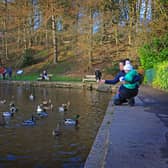 You can enjoy a playground, ducks and a cafe at this park, situated on the Porter Brook. It’s 49 acres of sheer beauty and a great place to take the kids for some fresh air and enjoy some autumn sunshine