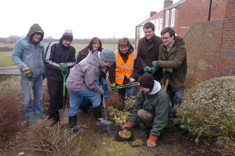 Tree planting in the Station Road area of Easington Colliery 11 years ago. Can you spot someone you know?