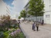 Fargate: New images show huge flowerbeds set to transform premium street in Sheffield city centre