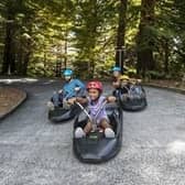 A Skyline Luge picture of one of its luge tracks in Rotorua, New Zealand - the firm is in talks to come to Parkwood Springs ski village in Sheffield