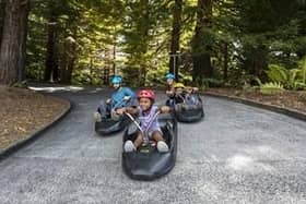 A Skyline Luge picture of one of its luge tracks in Rotorua, New Zealand - the firm is in talks to come to Parkwood Springs ski village in Sheffield
