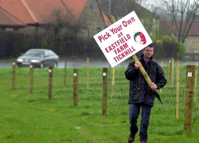 Tickhill farmer Richard Britain. 2002.