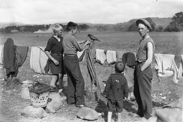 A pet jackdaw becomes the centre of attention for these young pickers, July 1933. Perth Museum and Art Gallery, D Wilson Laing Collection. Copyright Perth & Kinross Council