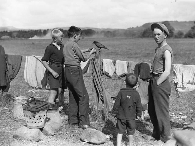 A pet jackdaw becomes the centre of attention for these young pickers, July 1933. Perth Museum and Art Gallery, D Wilson Laing Collection. Copyright Perth & Kinross Council