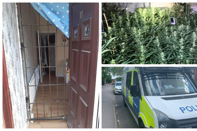 Photos from a police raid at a cannabis farm in Page Hall, Sheffield