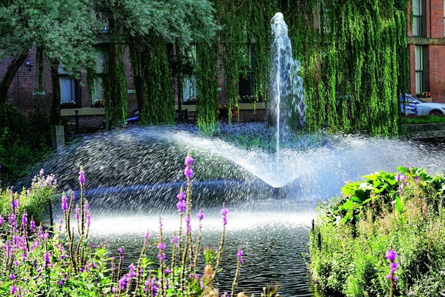 The Bridgewater Basin, on Lower Mosley Street, is a water garden where a fountain provides a backdrop for islands of plants floating on the surface of a repurposed canal branch that had become disused. The garden was inspired by the idea of musical composition - the home of the Hallé orchestra, the Bridgewater Hall, is nearby.