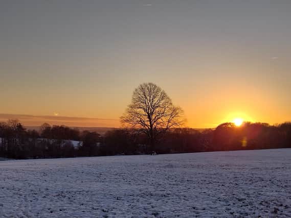 Sunset over a snowy Graves Park taken by Catherine Langan
