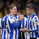 Josh Windass thinks playing for a club like Sheffield Wednesday is a 'different kettle of fish'.