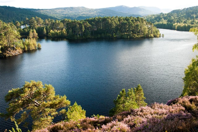 A little sandy beach surrounded by Caledonian Pines gives way to some of the best wild swimming around. For those experienced and in a group, a 100 metre swim will take you out to one of the many islands in the loch.