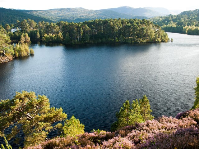 A little sandy beach surrounded by Caledonian Pines gives way to some of the best wild swimming around. For those experienced and in a group, a 100 metre swim will take you out to one of the many islands in the loch.