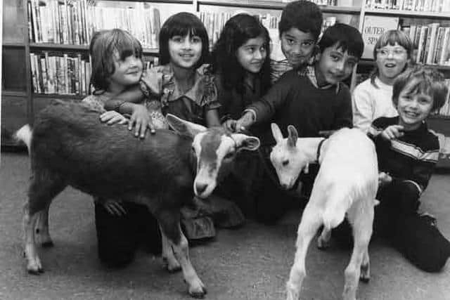 Working with the community - animals from Heeley City Farm visit children in Highfield Library, London Road, 1983.