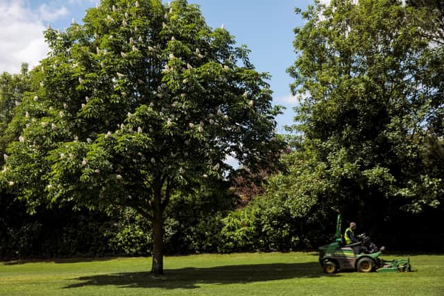 A gardener drives a lawn mower  (Photo by Jack Taylor/Getty Images)