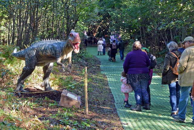 As you walk the woodland trail, dinosaurs of various sizes meet you on your travels