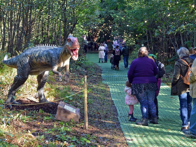 As you walk the woodland trail, dinosaurs of various sizes meet you on your travels