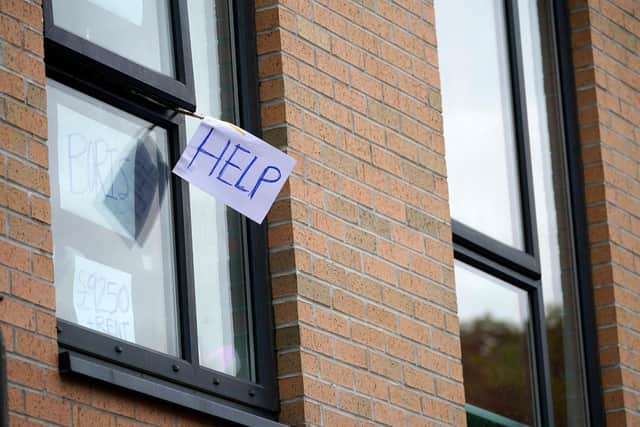 Signs made by students are displayed in a window  (Photo by Christopher Furlong/Getty Images)