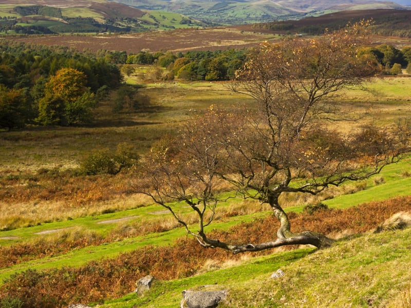 The National Trust Longshaw Estate in the Eastern Moors in Peak District near Sheffield is always a popular spot for families out for some fresh air, and you may even spot a herd of red deer. Park in the car park and stroll in the grounds past the visitor centre towards the lake or enjoy a longer walk by heading past there and out on the main path until you hit the road to get to Padley Gorge. Otherwise, park on the road at at Padley and reverse the walk.