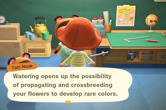 Animal Crossing: New Horizons, character interactions