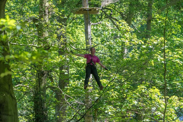 If you want to get your blood pumping while having a swinging time in the trees then you might want to head to Go Ape in Sherwood Pines.