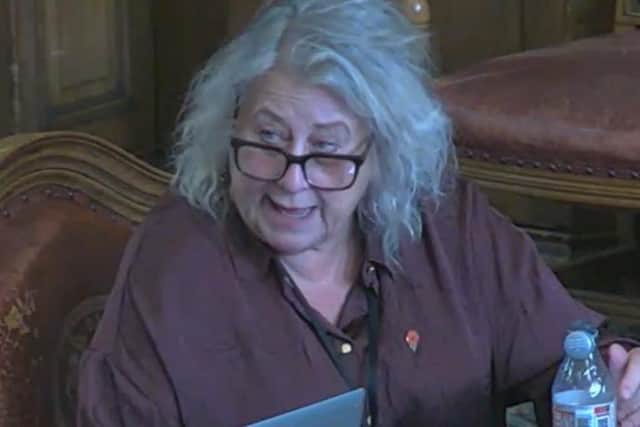 Coun Laura Moynahan, a member of Sheffield City Council's planning and highways committee. Picture: Sheffield Council webcast