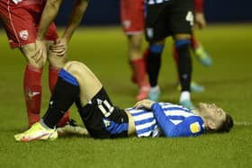 Josh Windass could face on the sidelines for Sheffield Wednesday.