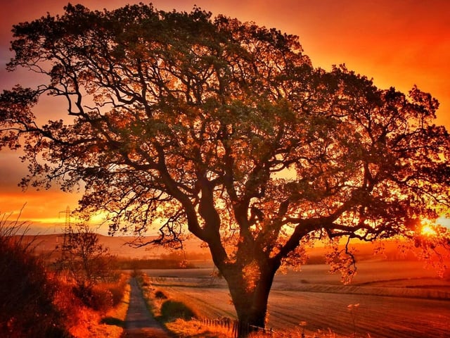 A sunrise near Howtel.