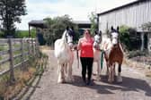Bekki Brearley, with three of her ponies Beau, Loki and Jester, is organising an event on horse rider safety in Derbyshire.