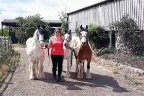 Bekki Brearley, with three of her ponies Beau, Loki and Jester, is organising an event on horse rider safety in Derbyshire.