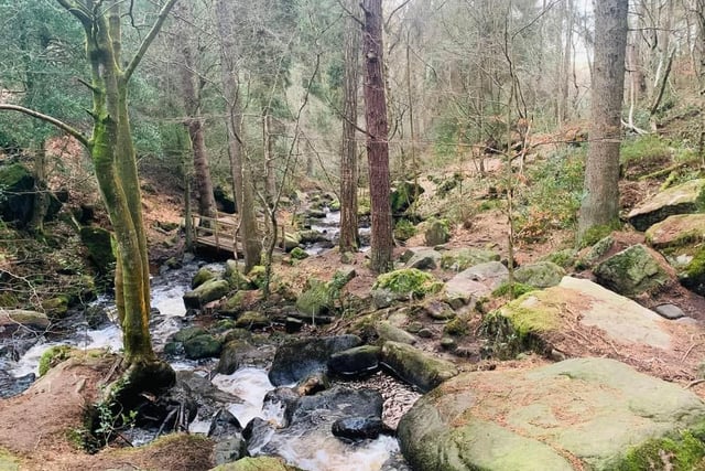 Danielle Andrews said: "“Wyming Brook is my fave dog walking spot, it’s such a lovely place when you walk on the stones up the river.“