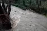 The River Sheaf, which runs through Millhouses Park, Sheffield, was fast flowing yesterday