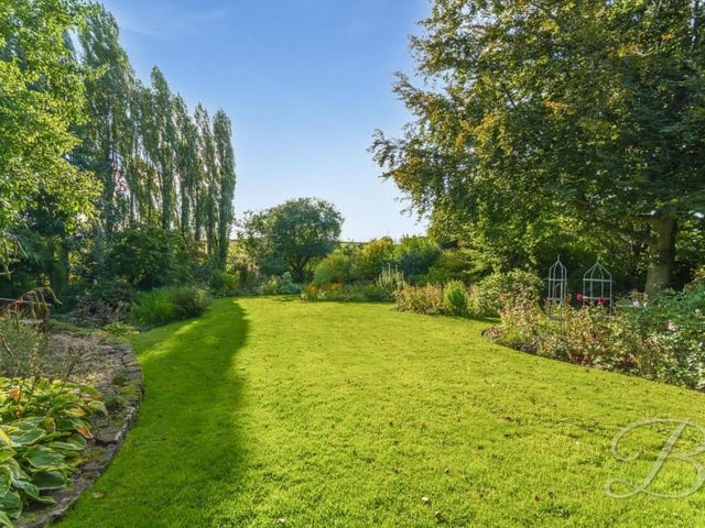 The lawn at the back is well maintained, and surrounded by mature trees. A fine place in which to relax.