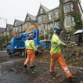 Sheffield Council was hammered by a lengthy report exposing its “dishonest”, “deluded” and “damaging” behaviour throughout the tree felling fiasco. PRESS ASSOCIATION Photo. Photo credit: Danny Lawson/PA Wire