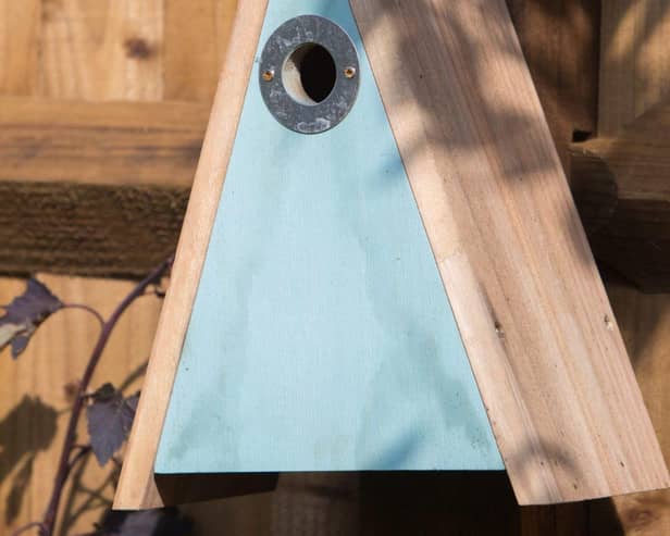 The RSPB Elegance nest box designed for small garden birds