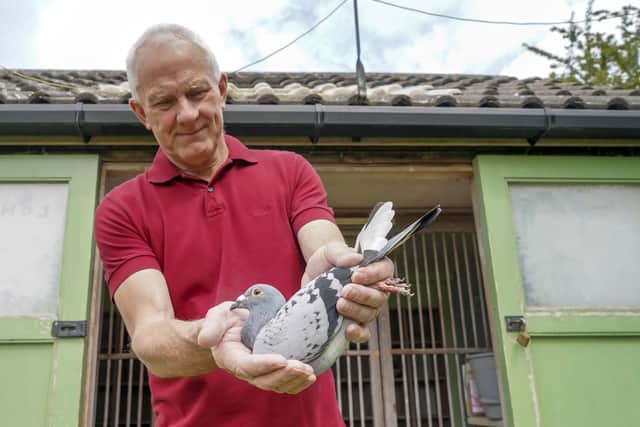 Pat Helliwell a pigeon fancier from Grenoside. Picture Scott Merrylees