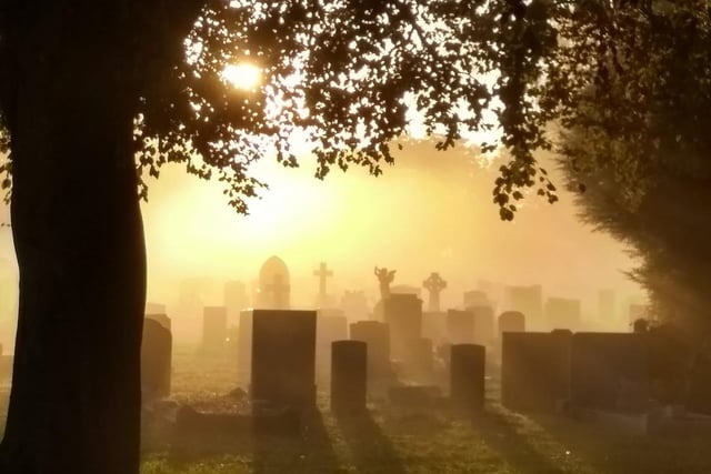Claire managed to capture this reflective, hazy image during a visit to Kingston Cemetery, in Fratton.