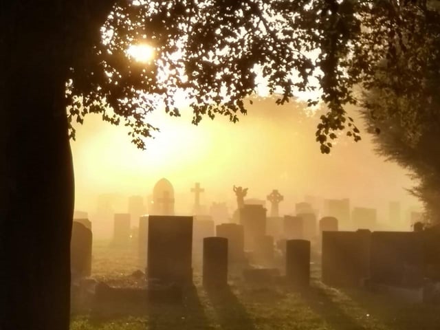 Claire managed to capture this reflective, hazy image during a visit to Kingston Cemetery, in Fratton.