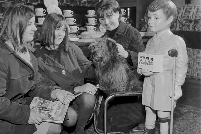 'Bobby the dog, as featured in the Disney film 'Greyfriars Bobby', is pictured with children at the Christmas Gift Shop on Home Street, Tollcross, in December 1965.